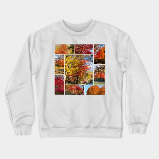 Foliage Collage Crewneck Sweatshirt by Barschall